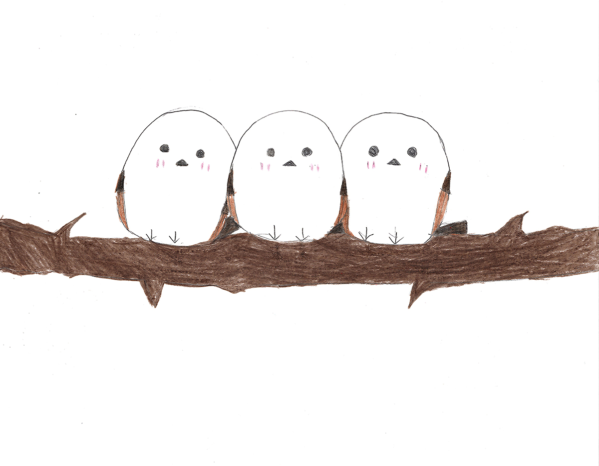 雪のようせいシマエナガ